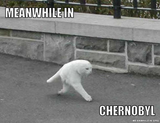 Meanwhile in.. – bild 8 av 45