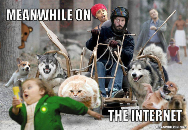 Meanwhile in.. – bild 45 av 45