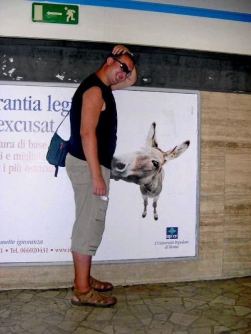 Reklambild och åsna