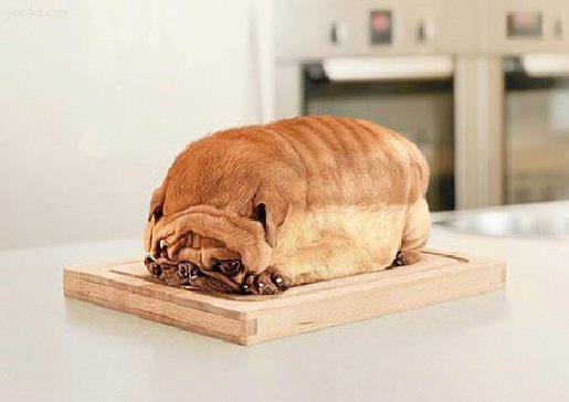 Hundlimpa