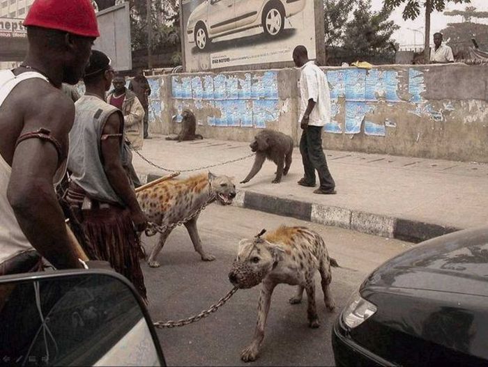 Bara i Afrika – bild 16 av 43