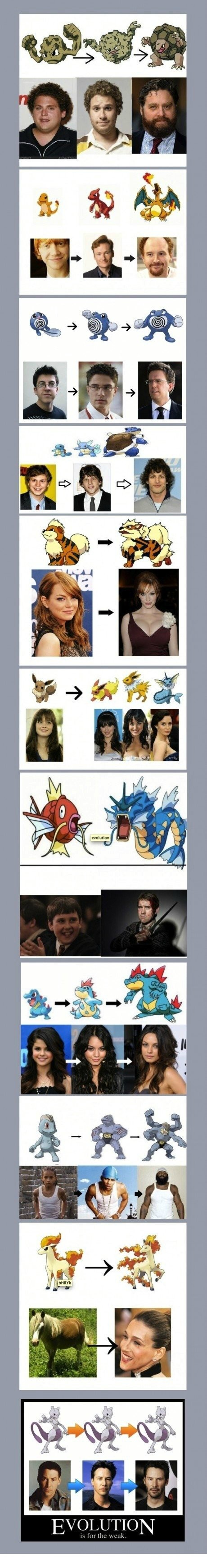 The evolution of celebrities – bild 3 av 3