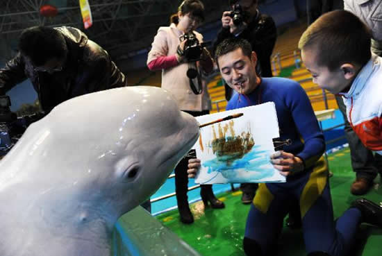 Delfin som kan måla