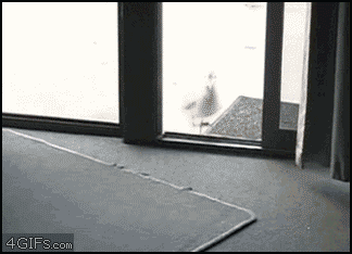 What is this sorcery?!