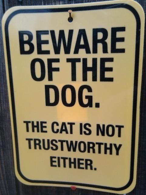 Beware of the dog
