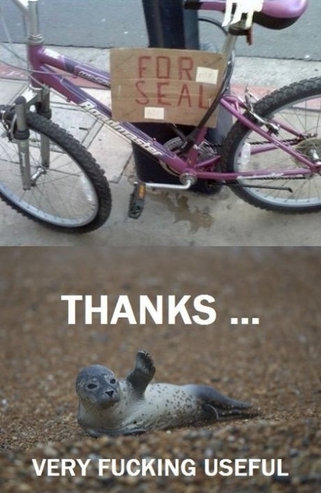 Cykel till säl