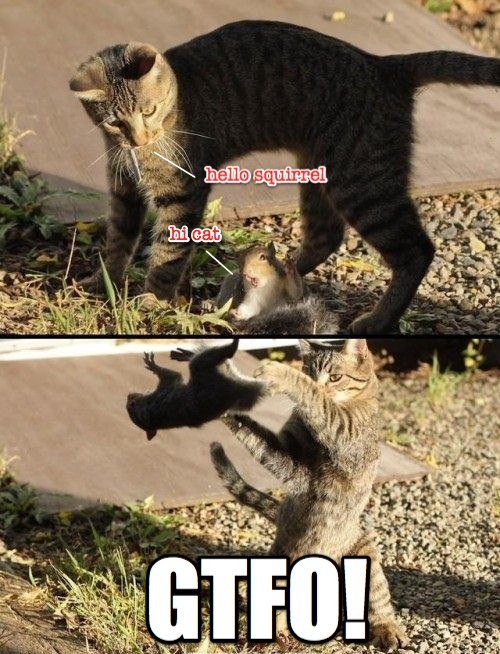 GTFO