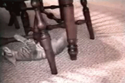 Rail cat