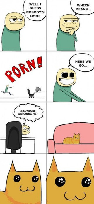 Porn time
