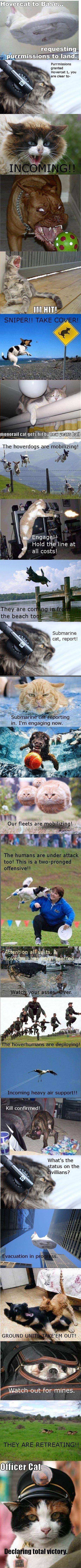 Hund vs katt