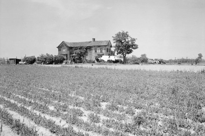 Historiska bilder från New York – bild 13 av 50