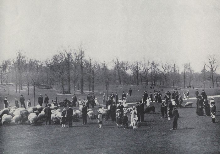 Historiska bilder från New York – bild 25 av 50