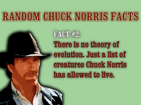Chuck Norris – bild 5 av 17