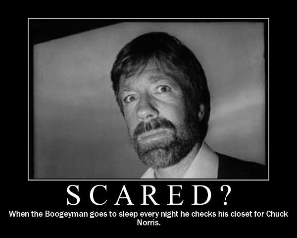 Chuck Norris – bild 9 av 17