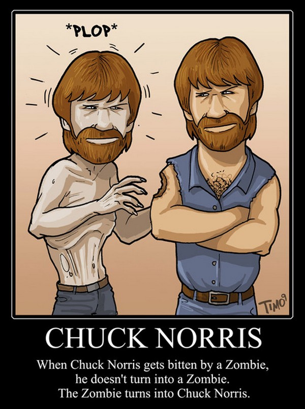 Chuck Norris – bild 11 av 17