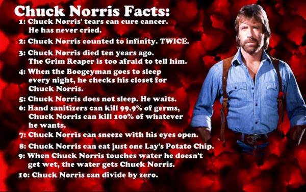 Chuck Norris – bild 12 av 17