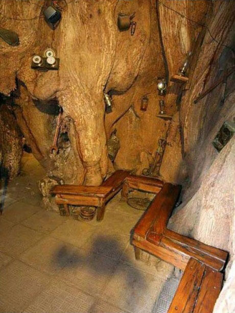 Trädet Baobab – bild 7 av 12