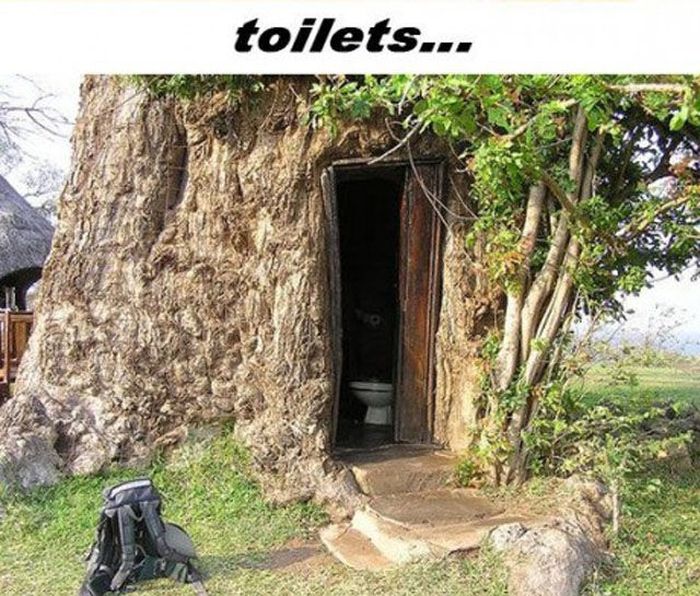 Trädet Baobab – bild 8 av 12