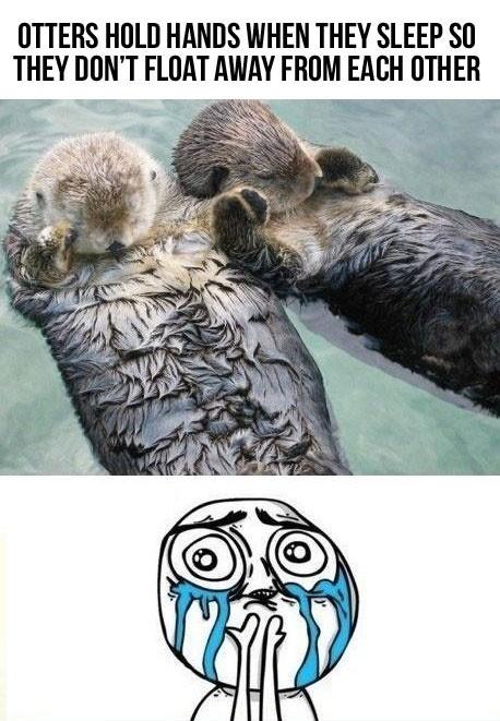 Awwww