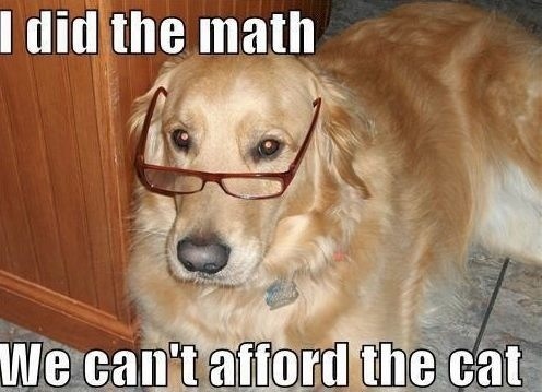 Hund som kan räkna