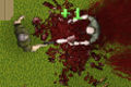 Bild från Zombie Splatter