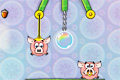 Bild från Piggy Wiggy