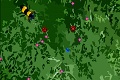 Bild från Bug Slayer