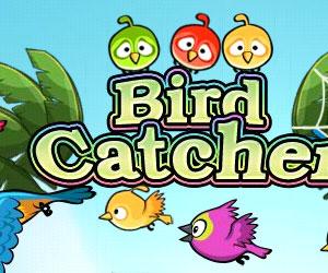 Bild från Angry Birds Catcher