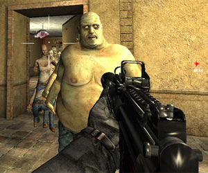 Bild från Zombie Survival