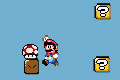 Bild från Mario Mushroom