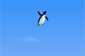 Bild från Turbocharged Penguins