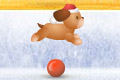 Bild från A dog for all seasons