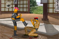 Bild från Bushido Fighters