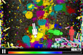 Bild från Color Carnage