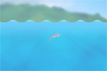 Bild från Dolphin olympics 2