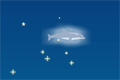 Bild från Dolphin Olympics