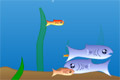 Bild från Fishy