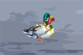 Bild från Gay Duck Launcher