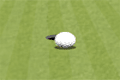Bild från Golf