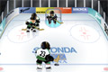 Bild från Hockey shot game