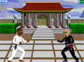Bild från Karate