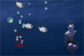 Bild från Jhonnys Aquarium