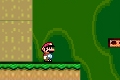 Bild från Mario Starcatcher 2