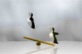Bild från Pingu Sports