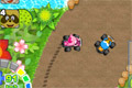 Bild från Raccoon racing