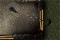 Bild från SAS Zombie Assault