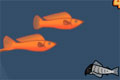 Bild från Special Fishy