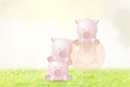 Bild från These Little Pigs