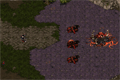 Bild från Starcraft fa5 (flash action)