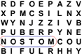 Bild från Euro 2004 Wordsearch